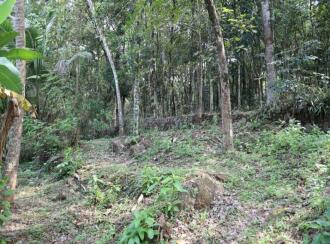 Residential Land for Sale in Pathanamthitta, Ranni, Thadiyoor, Thadiyoor Market