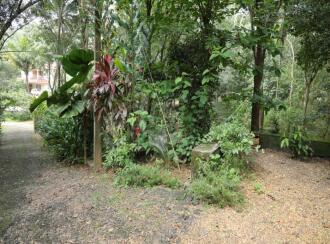 Residential Land for Sale in Pathanamthitta, Ranni, Thadiyoor, Thadiyoor Market