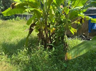 Residential Land for Sale in Thrissur, Ayyanthole, Puthurkkara, Near Revathy moola