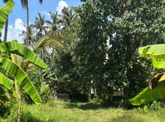 Residential Land for Sale in Thrissur, Ayyanthole, Puthurkkara, Near Revathy moola