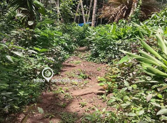 Residential Land for Sale