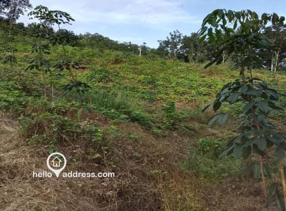 Commercial Land for Sale