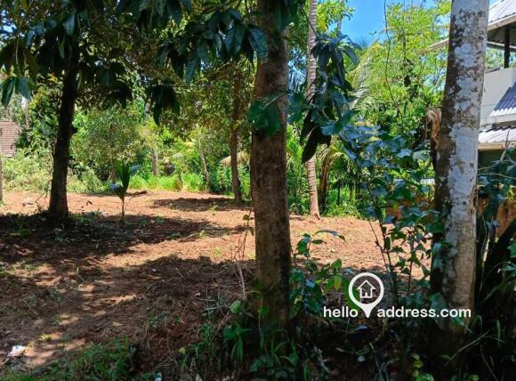 Residential Land for Sale