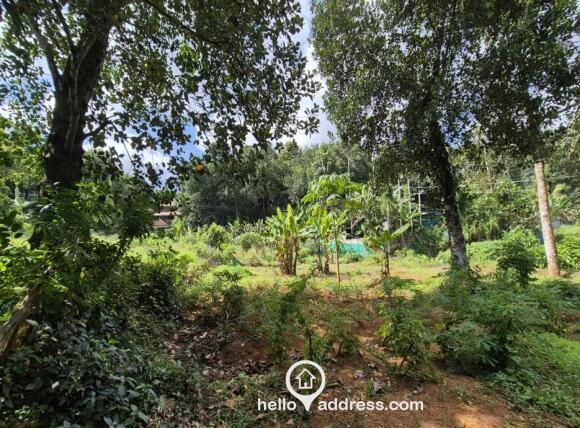 Residential Land for Sale