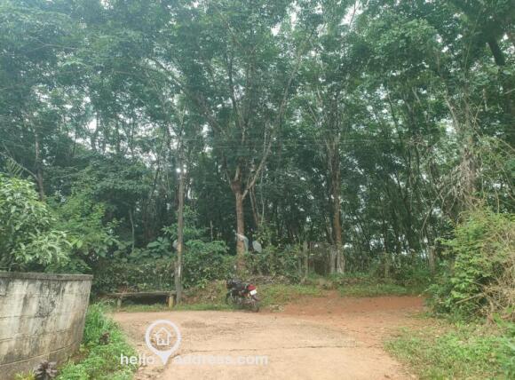 Front Road photo of property