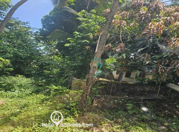 Residential Land for Sale