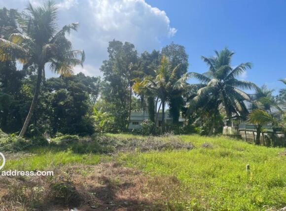 Plot Photo 3