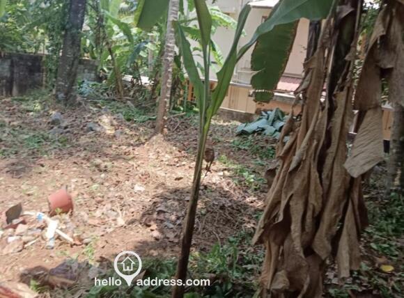 Residential Land for Sale