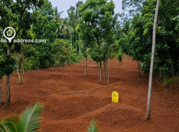 Residential Land for Sale