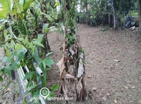 Residential Land for Sale