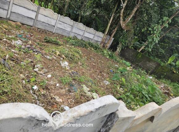 Plot Pic 2