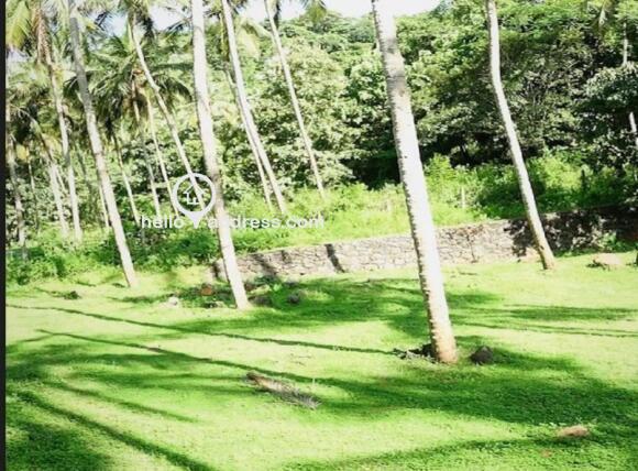 Residential Land for Sale