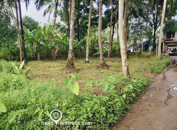 Residential land with 10 cents