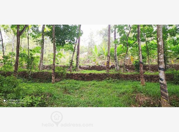 Residential Land