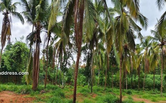 Residential Land for Sale