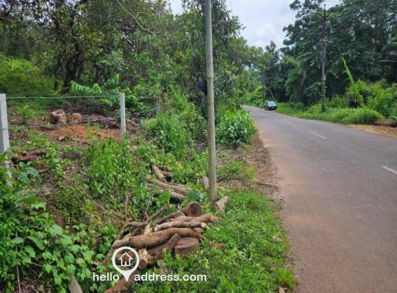 roadside