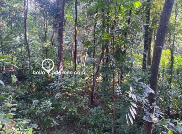 Agricultural Land for Sale