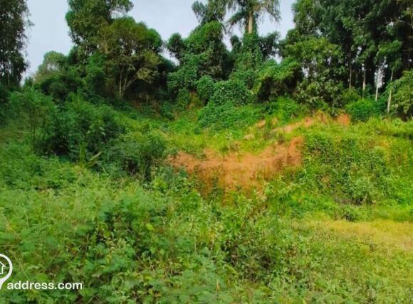 Residential Land for Sale