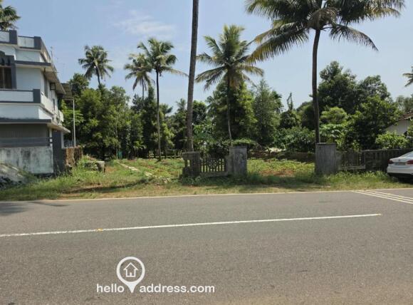View from road