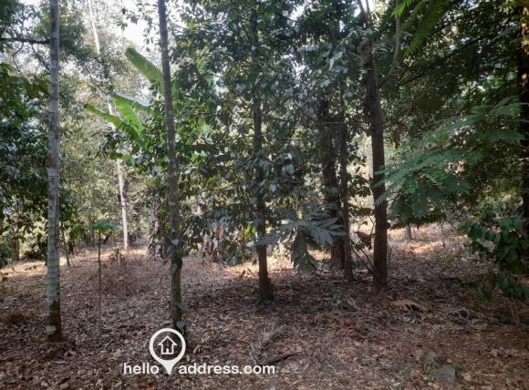 Residential Land