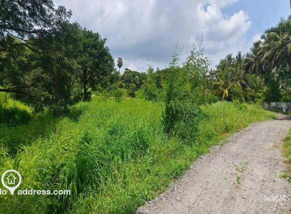 Agricultural Land for Sale