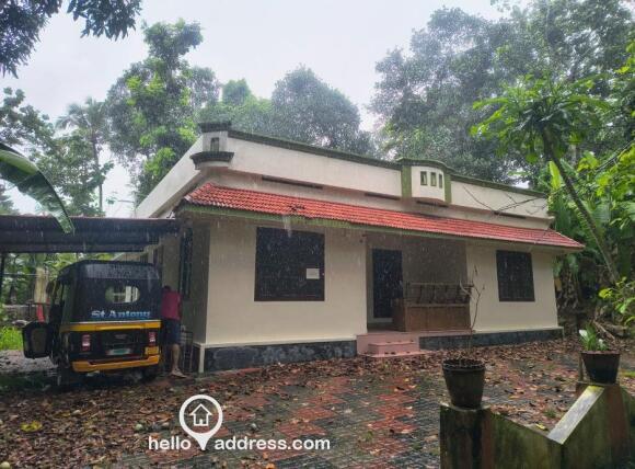Residential House Villa for Rent