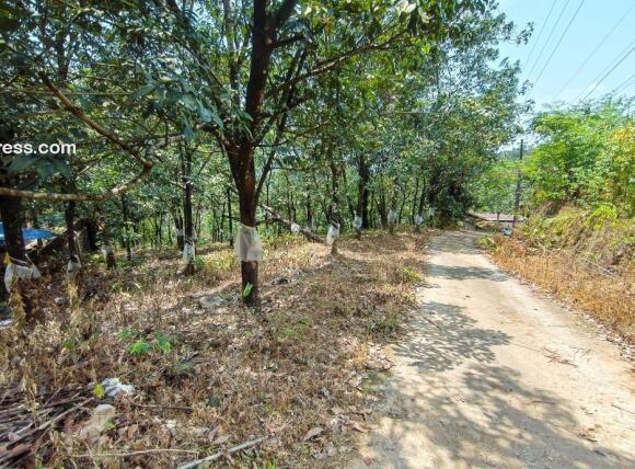 Residential Land for Sale