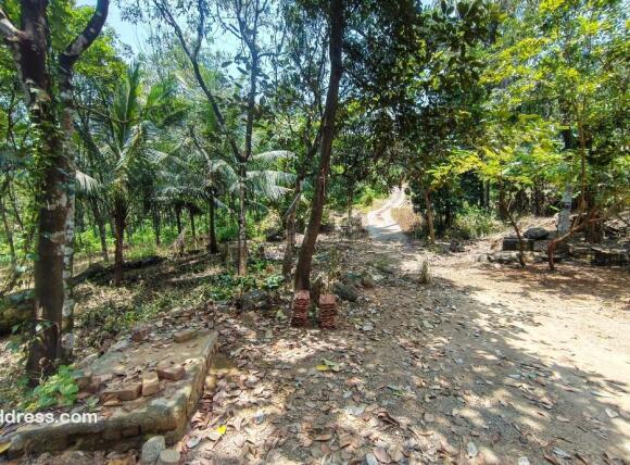 Property area 2