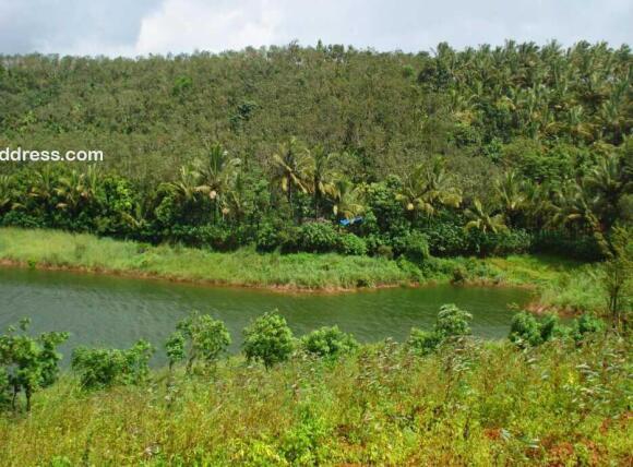 Commercial Land for Sale