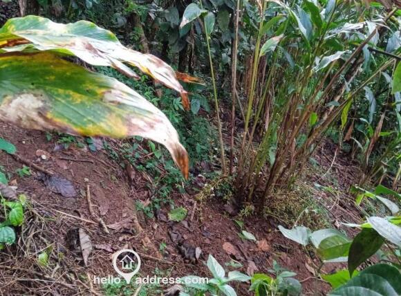 Residential Land for Sale