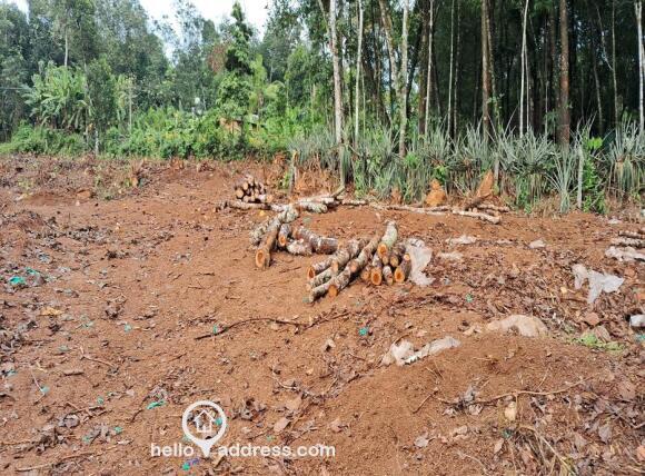 വടക്കു ഭാഗം