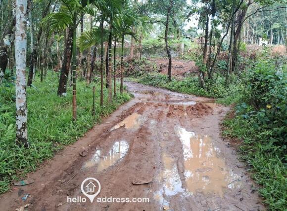 Panchayath road