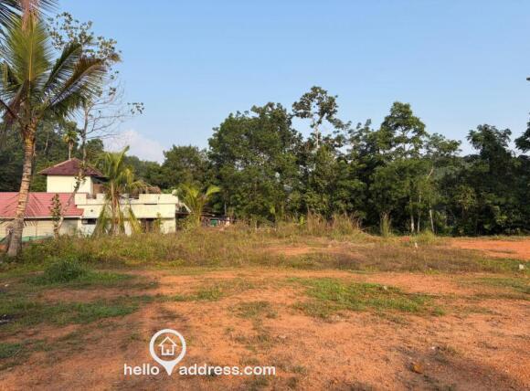 Plot For Sale