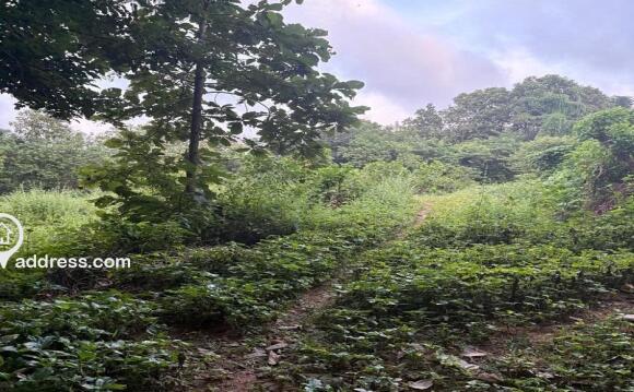 Residential Land for Sale