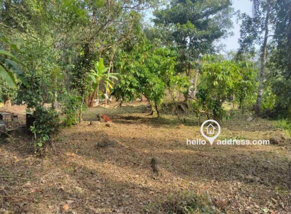 Residential Land for Sale