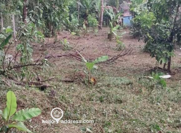 Residential Land for Sale