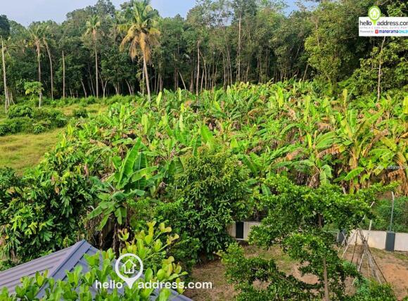 Residential Land for Sale