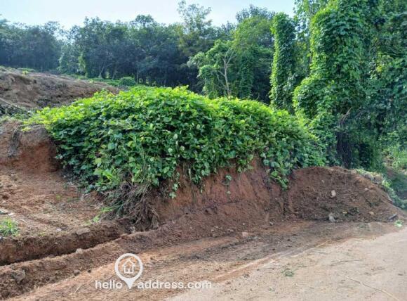 Residential Land for Sale