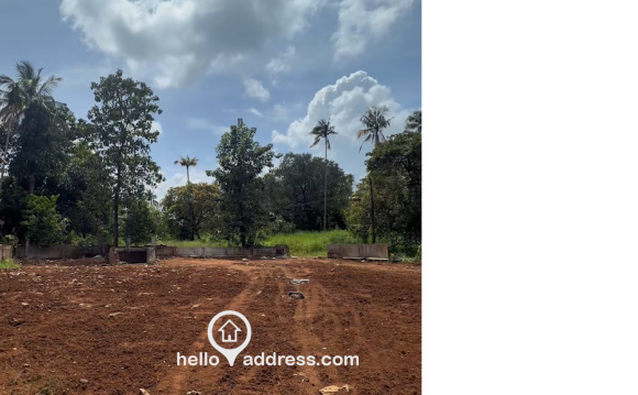 Commercial Land for Sale