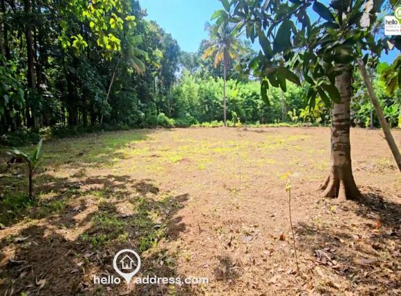 Residential Land for Sale