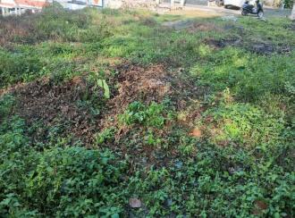 Residential Land for Sale in Kottayam, Ponkunnam, 20th mile, Cochin Saniwares