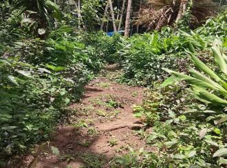 Residential Land for Sale in Kozhikode, Calicut, Calicut town, Koyilandi
