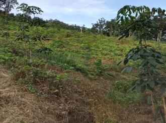 Commercial Land for Sale in Trivandrum, Nedumangad, Vithura, Ponnaam chund