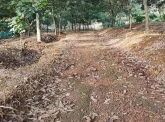 Commercial Land for Sale in Trivandrum, Nedumangad, Vithura, Ponnaam chund