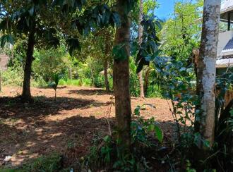 Residential Land for Sale in Thrissur, Thrissur, Kodannur, Ayyappa Temple at Sasthamkadavu.