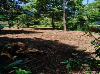 Residential Land for Sale in Thrissur, Thrissur, Kodannur, Ayyappa Temple at Sasthamkadavu.