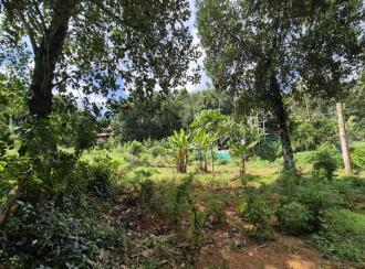 Residential Land for Sale in Alleppey, Alappuzha, Alappuzha, KARAKAD