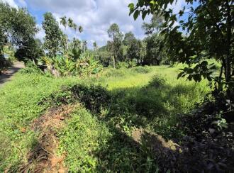 Residential Land for Sale in Alleppey, Alappuzha, Alappuzha, KARAKAD