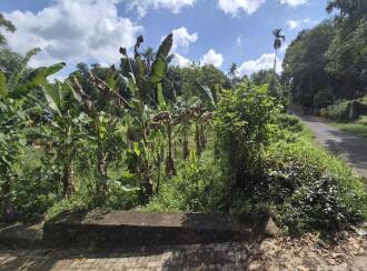 Residential Land for Sale in Alleppey, Alappuzha, Alappuzha, KARAKAD