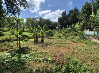 Residential Land for Sale in Alleppey, Alappuzha, Alappuzha, KARAKAD